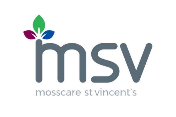 Msv Group.webp