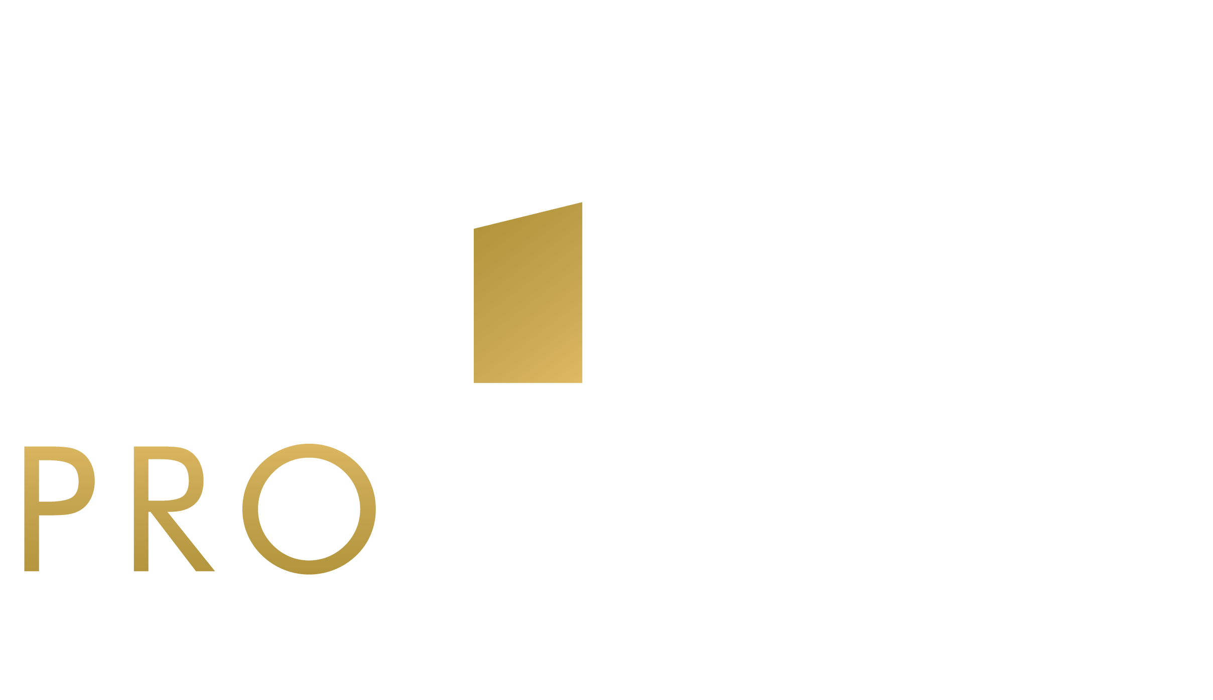 Updated-Pro Sentry Final Logo_Prosentry-web-logo-2025-02